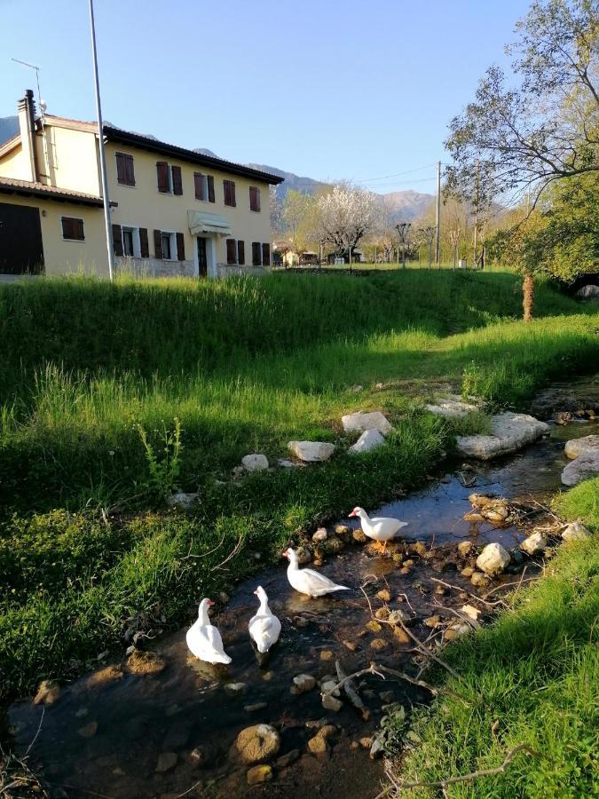 Agriturismo Da Andreina Acomodação com café da manhã Borso del Grappa Exterior foto