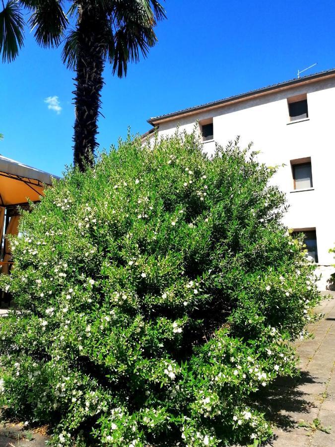 Agriturismo Da Andreina Borso del Grappa Exterior foto